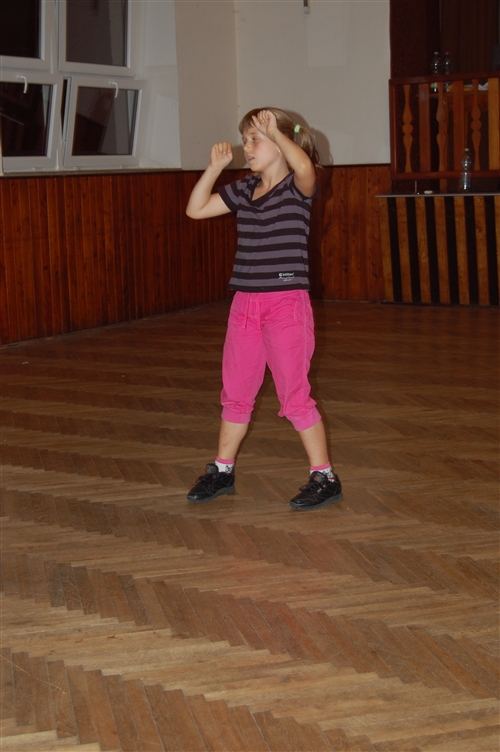 Obrázek v galerii